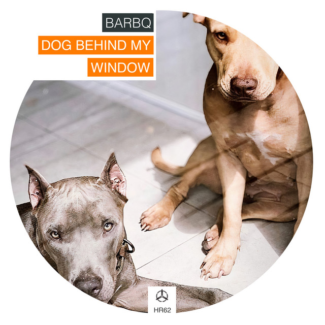 Dog Behind My Window cover art