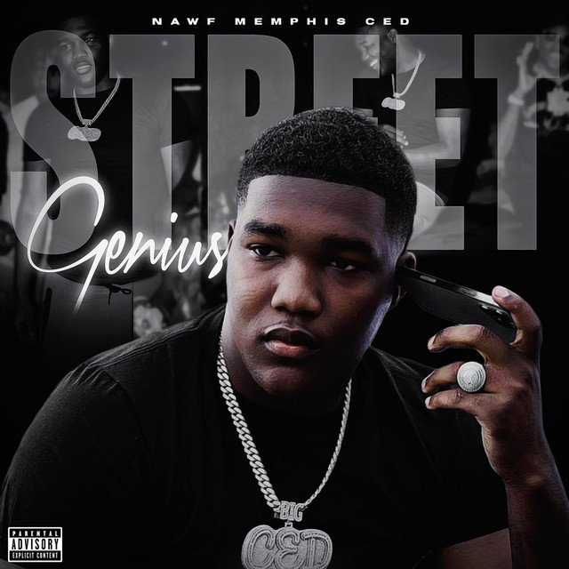 Street Genius cover art