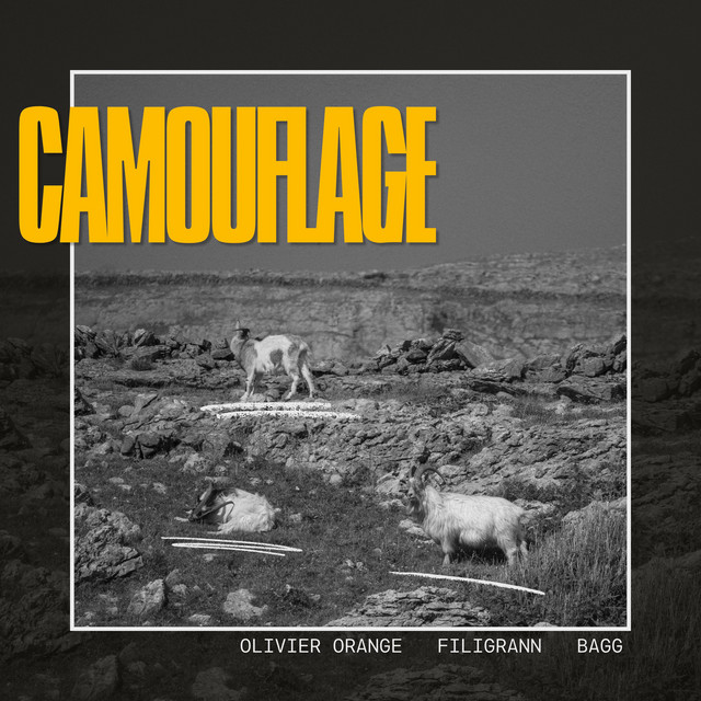 Camouflage