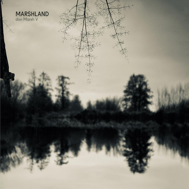 Marshland cover art