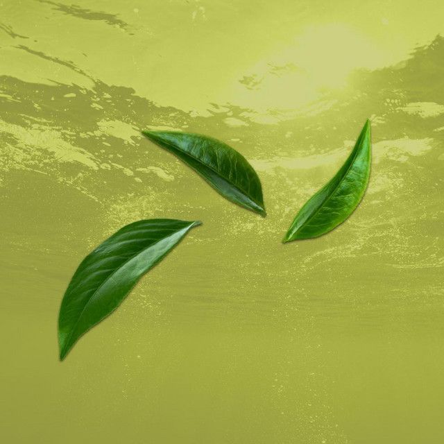 Green Tea cover art
