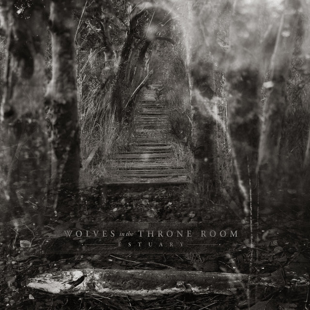 Estuary album image