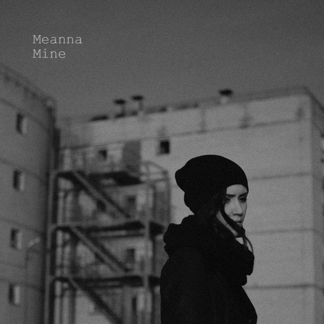 Mine cover