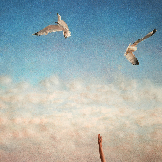 Brent Jones photo