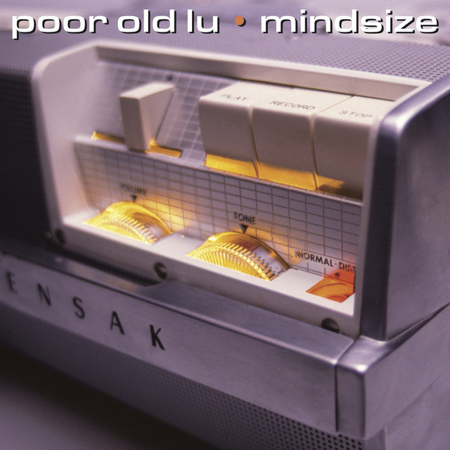 Mindsize cover