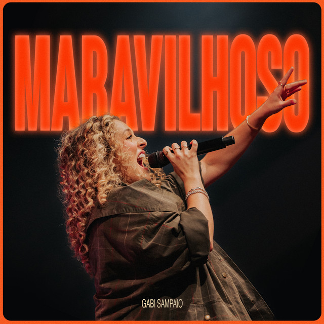 Maravilhoso album image