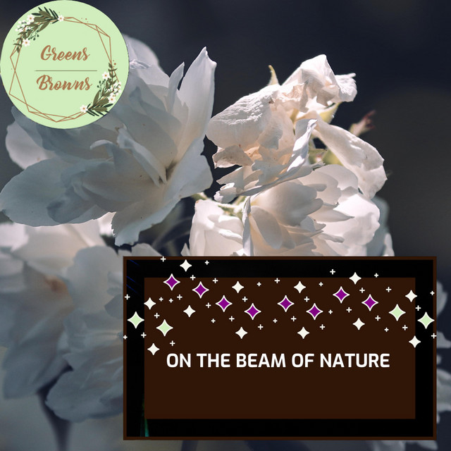 Delightful Steam Noise cover art