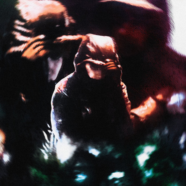 Shape Li | Spotify