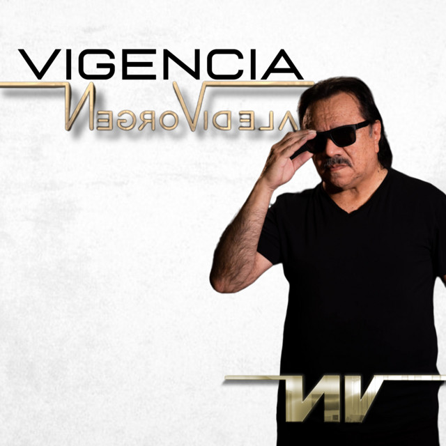 Vigencia cover art