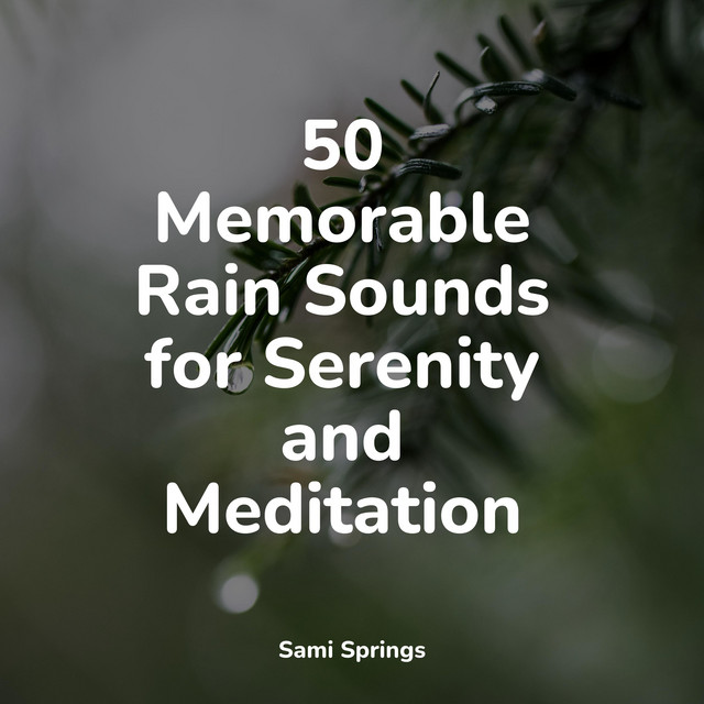 50 Memorable Rain Sounds for Serenity and Meditation - Album by ...