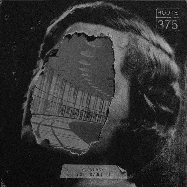 Обкладинка Zvonovski — You Want It