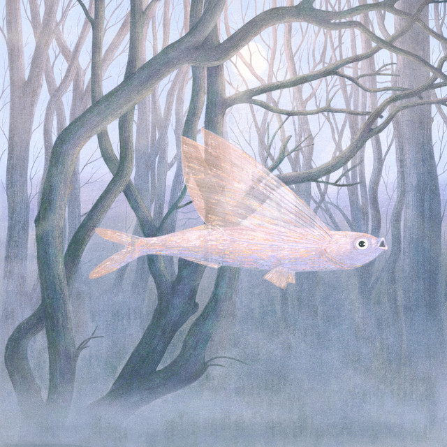 The Flight of Mary Moss (Clarinet Nights) cover art