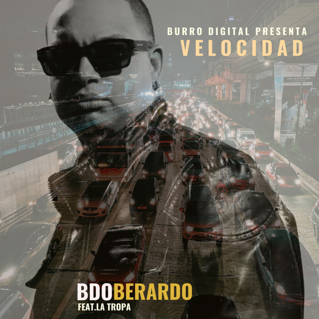 Bdo Berardo