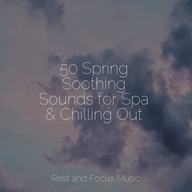50 Spring Soothing Sounds for Spa & Chilling Out - Album by Sleep Waves ...