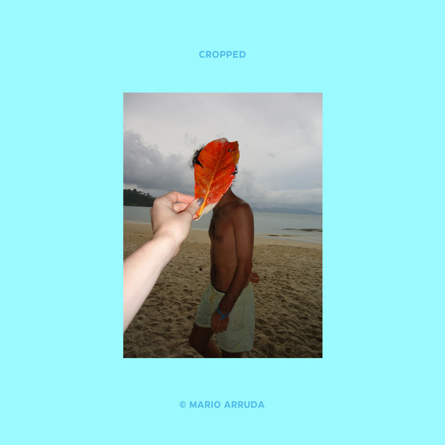 Cropped cover art