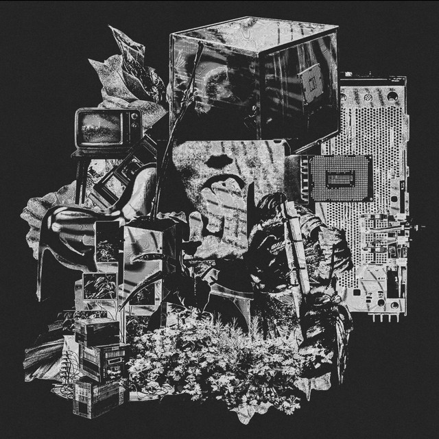 Surgo/Trust Me - Single