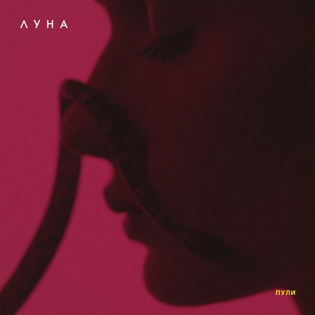 Пули cover art