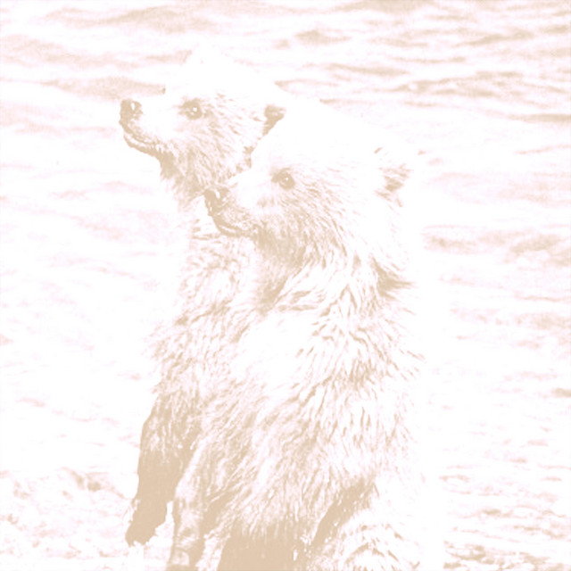 perambulations cover art