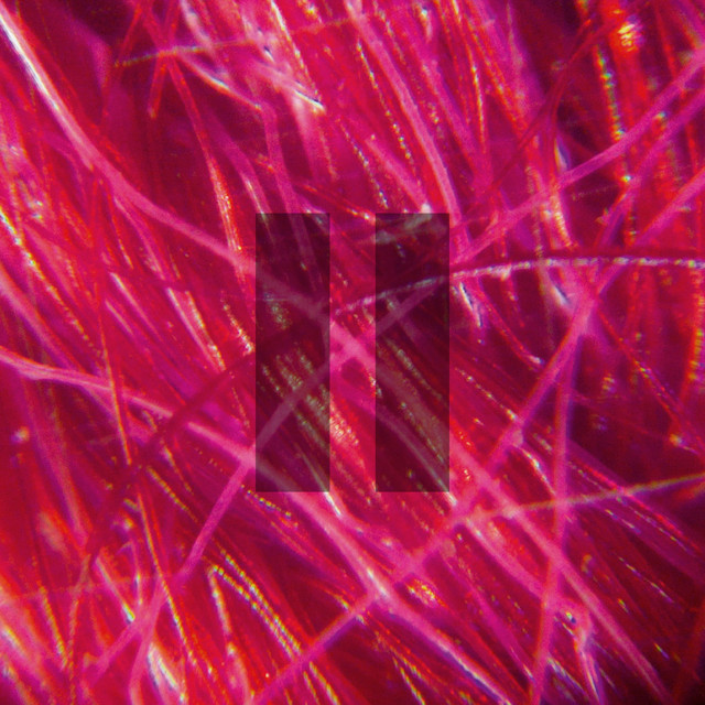 II cover art