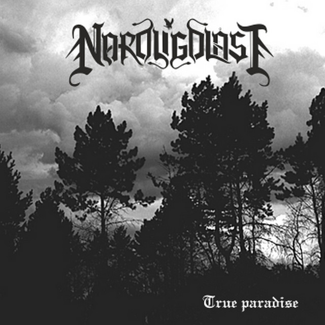 Nordligblast Photo