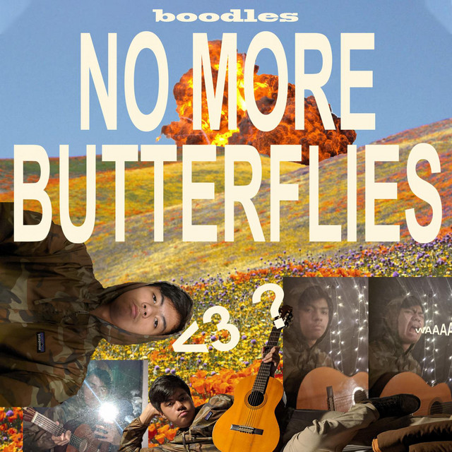 no more butterflies cover art