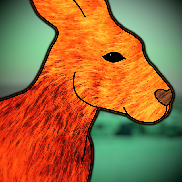 KANGAROO ERA cover art