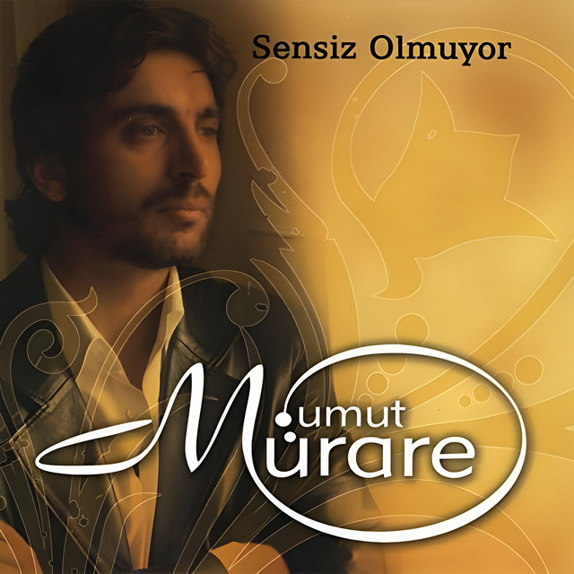 Sensiz Olmuyor cover art