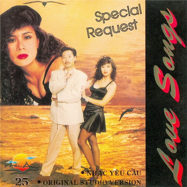 Hải Âu 25 cover