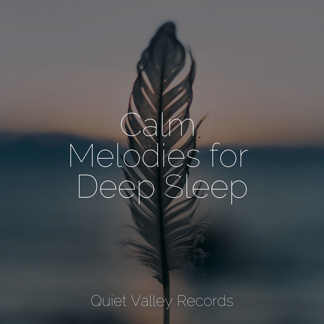 Calm Melodies for Deep Sleep - Album by Best Relaxing SPA Music | Spotify