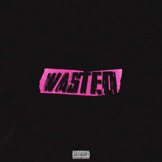 WASTED cover art
