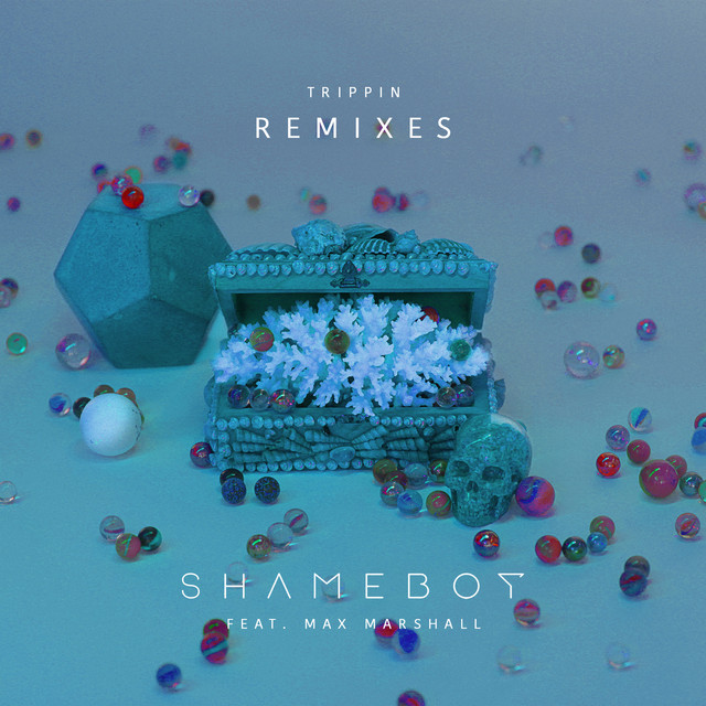 Trippin (Remixes) (feat. Max Marshall) cover art