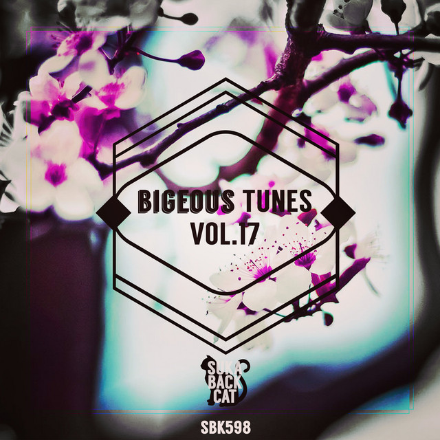 Bigeous Tunes, Vol. 17 cover art