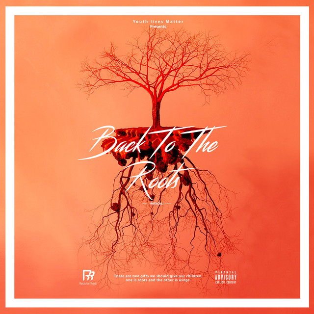 BACK TO THE ROOTS cover art