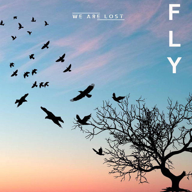 Fly (single)