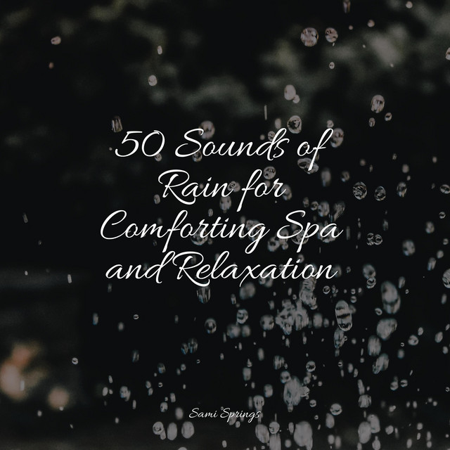 50 Sounds of Rain for Comforting Spa and Relaxation - Album by The Rain ...