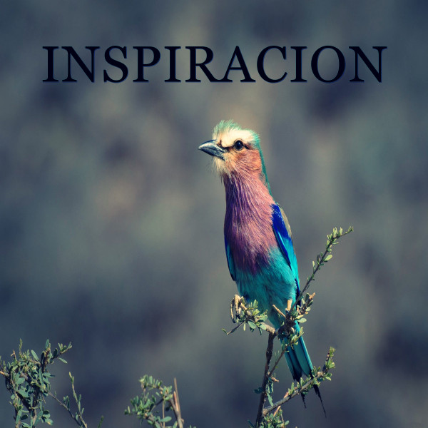 INSPIRACION cover art
