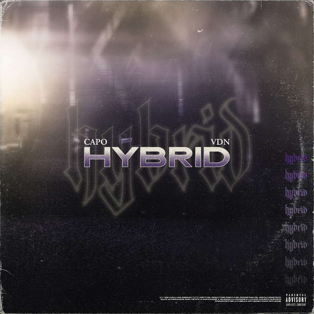 Hybrid cover art