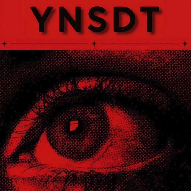 YNSDT cover art