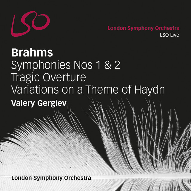 Brahms: Symphonies Nos 1 & 2, Tragic Overture, Variations on a Theme of Haydn cover art