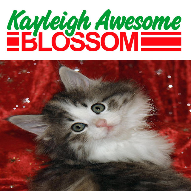 Kayleigh A. Blossom Album cover art