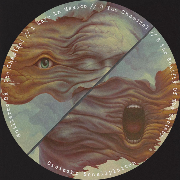 The Chamizal cover art