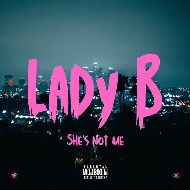 She's Not Me cover art