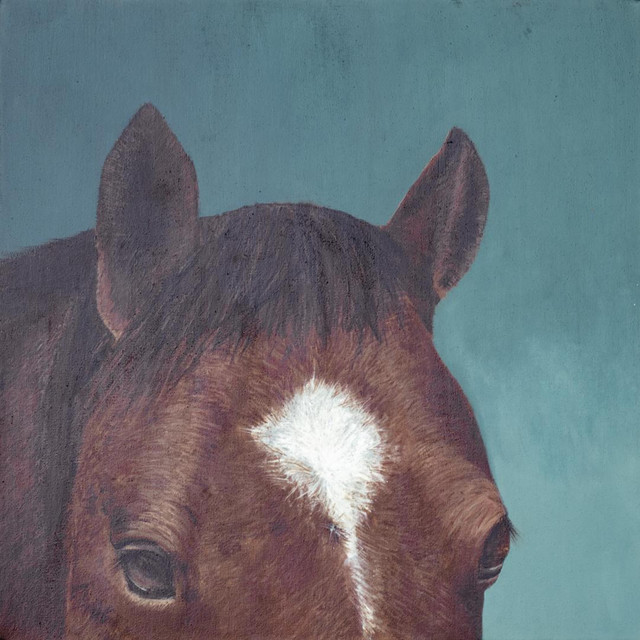 El Bagual cover art