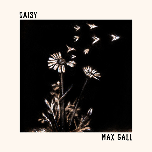 Daisy cover