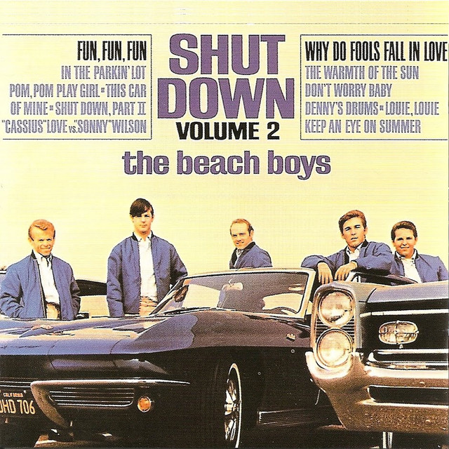 Shut Down, Vol. 2 (German Version)