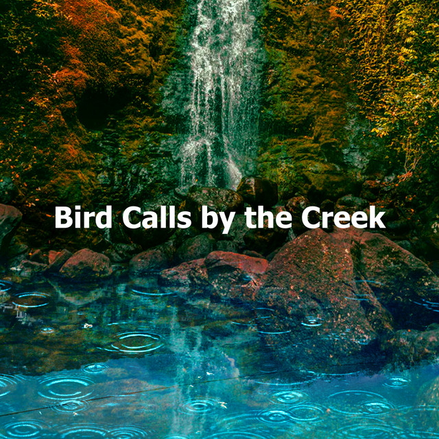 Bird Calls by the Creek - Album by Pro Sound Effects Library | Spotify