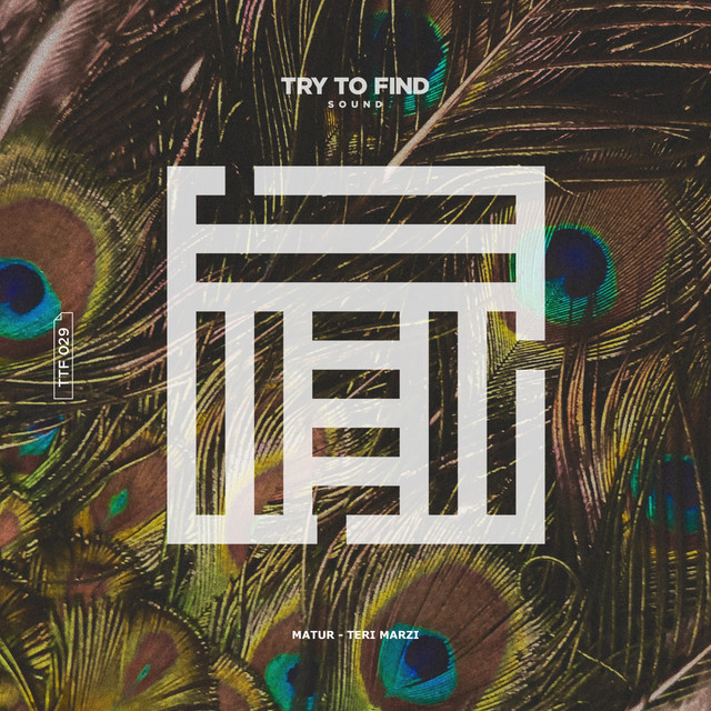 Teri Marzi - Extended Mix album art