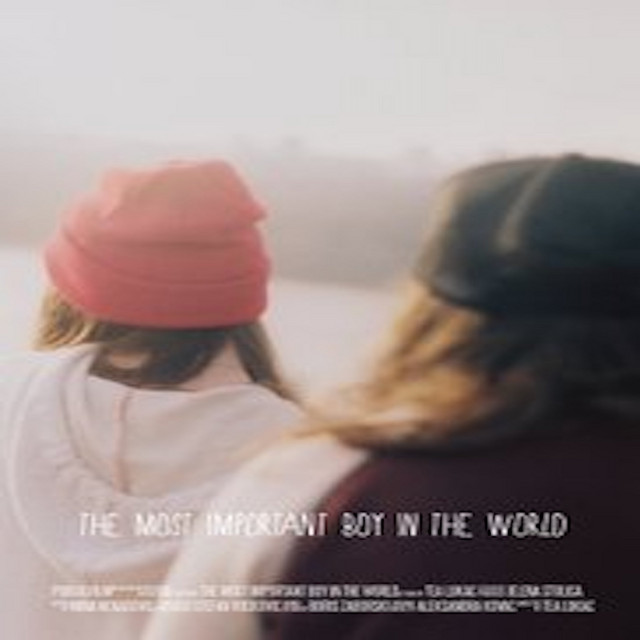 THE MOST IMPORTANT BOY IN THE WORLD cover art