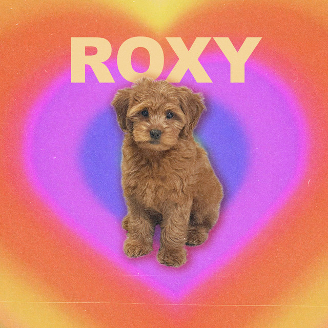 Roxy cover art