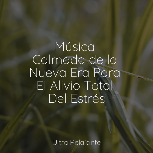 Música Calmada de la Nueva Era Para El Alivio Total Del Estrés - Album ...